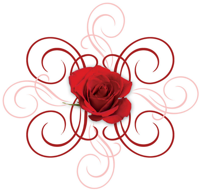 engaged-7-red-rose