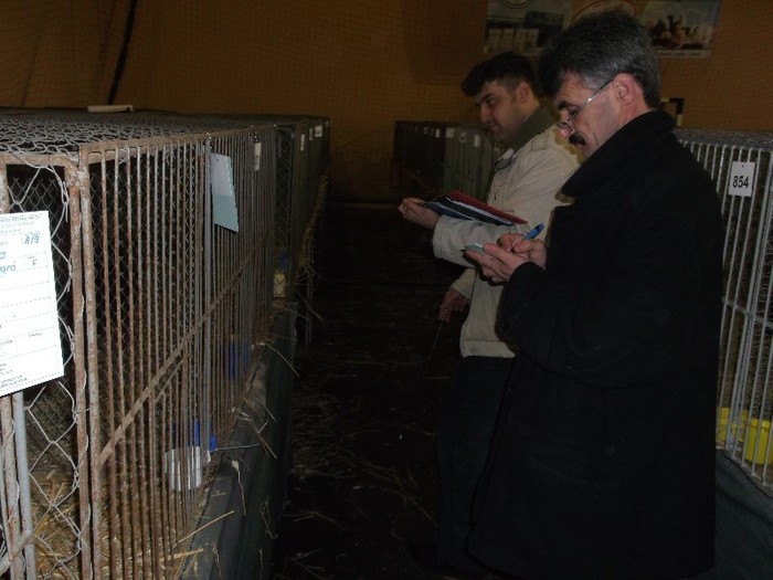 CONCENTRATIE MARE LA ............