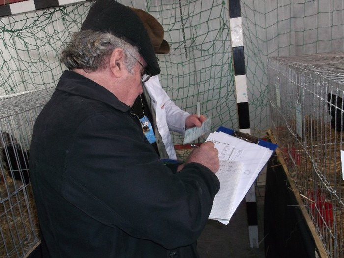 ROMANUL CU..............PIXUL