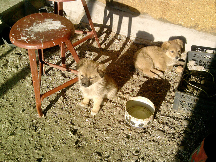 P140112_14.23_[01]; dolly si pufilika
