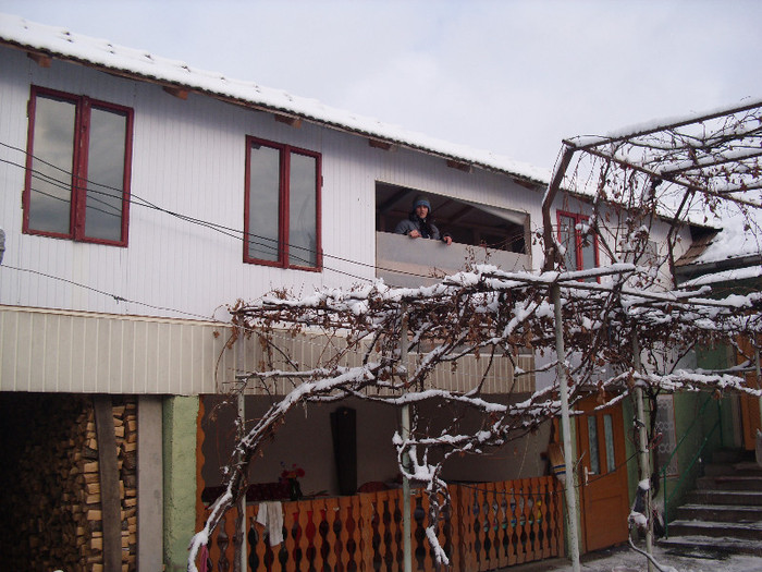 voliera prasIla 2012