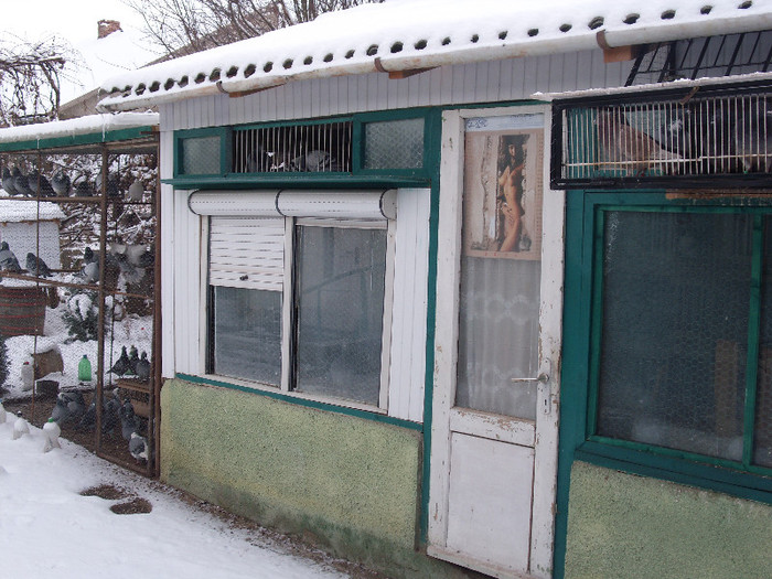 voliera lotu zbor 2012 iarna