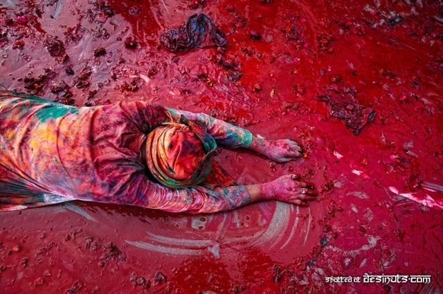the-colors-of-the-world-5 - x-Holi-x