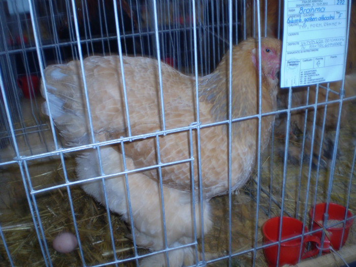 P1100111