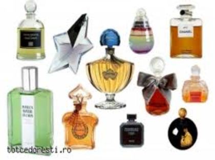 Les parfumes - Parfumuri tari Care miros frumos