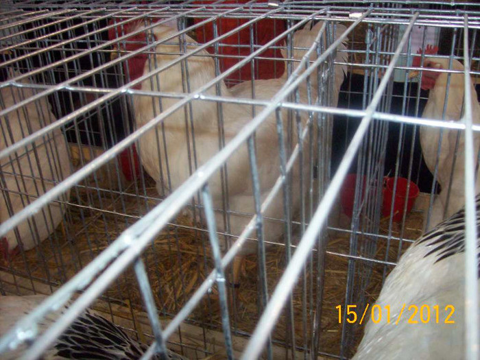 Picture 076