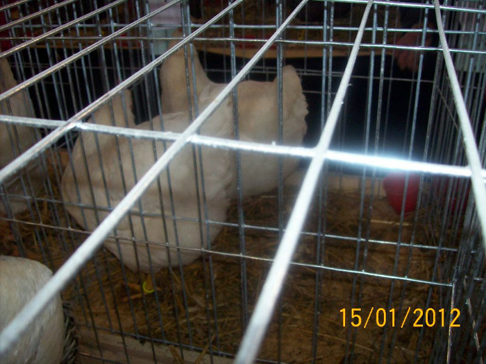 Picture 077