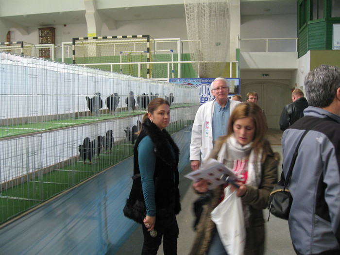 IMG_0431 - king klub ungar