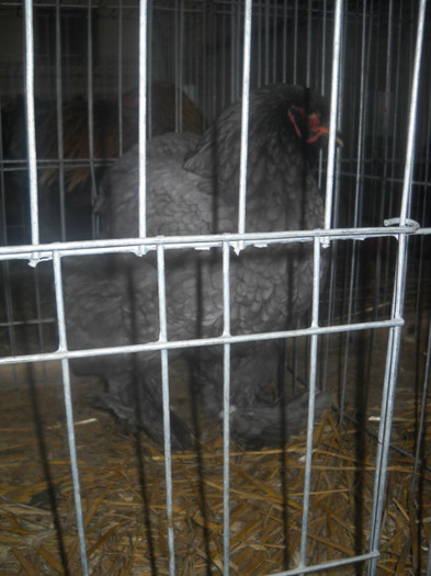 DSCN0205