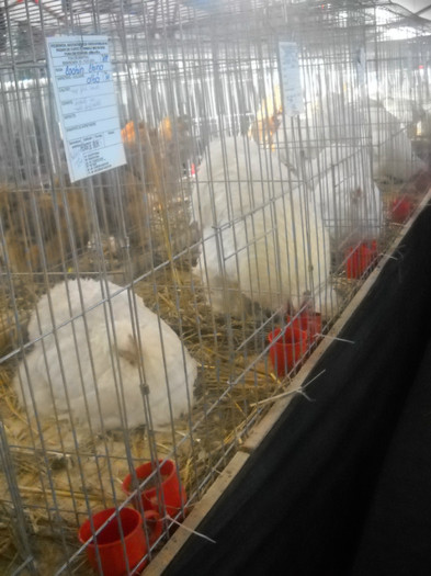 DSCN0211