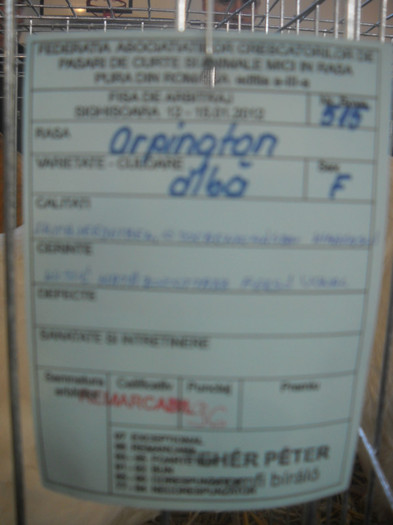 DSCN0228