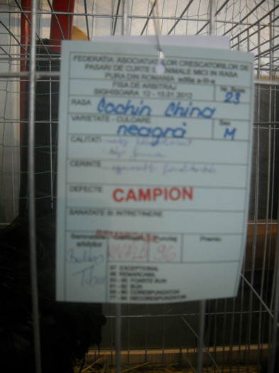 DSCN0264
