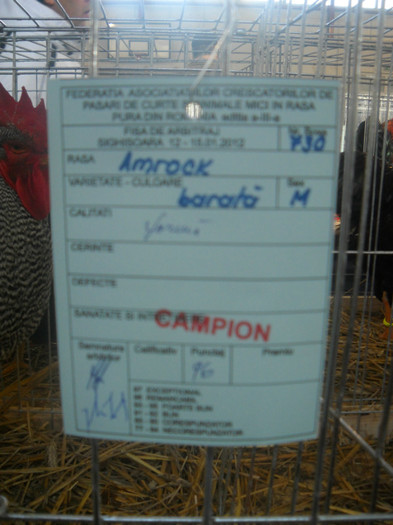 DSCN0271