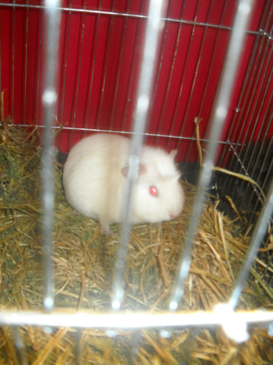 DSCN0326