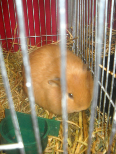 DSCN0327