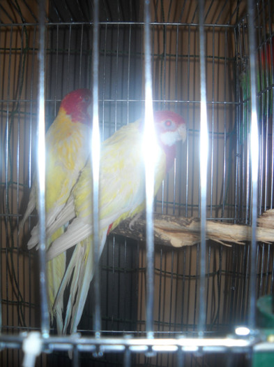 DSCN0328