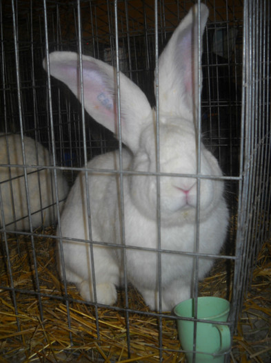 DSCN0520