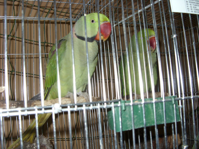 SN853824