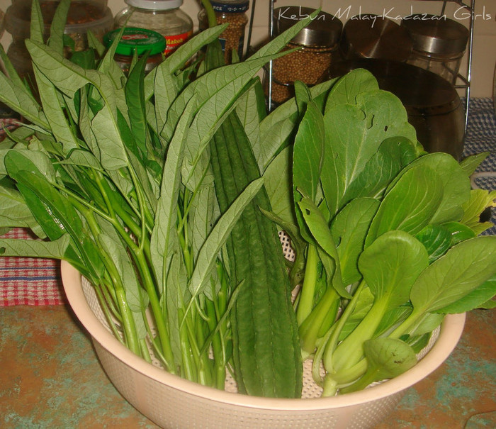 DSC09494