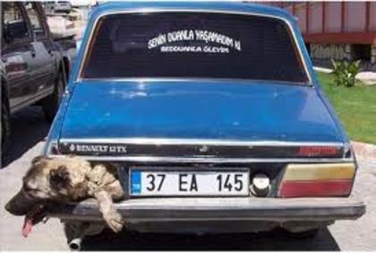 Masina de vanzare; Land Rover 4x4 
Anul fabricatiei 2013
Motor 6.9
Cost 1 leu(1 milion de euro)
