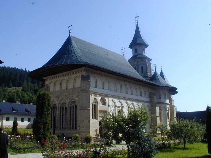 11227928_TDHQTOVBX - BUCOVINA COLT DE RAI