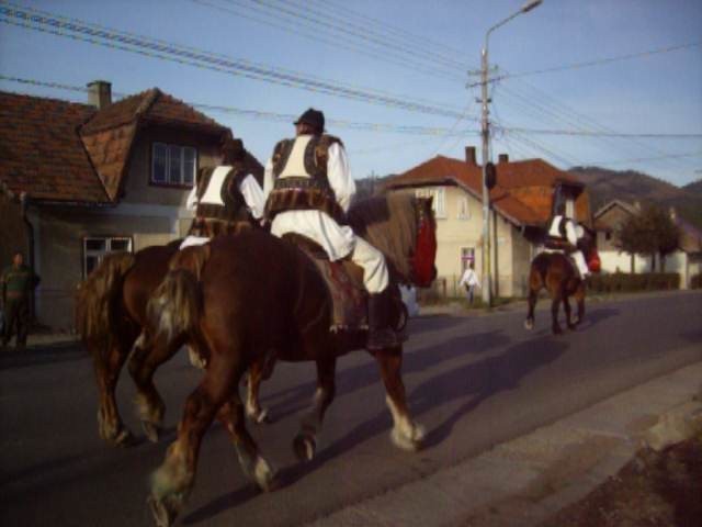 25747578_XEKDVESUD - BUCOVINA COLT DE RAI