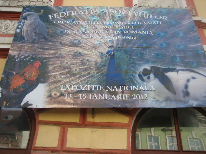 Expo Sighisoara 2012 002