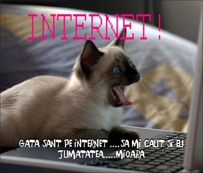  - 3  B  ANIMALE  3