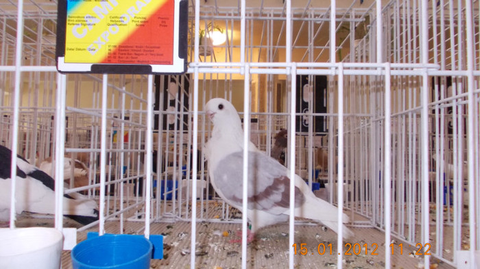 ianuar 2012 008 - expo2012