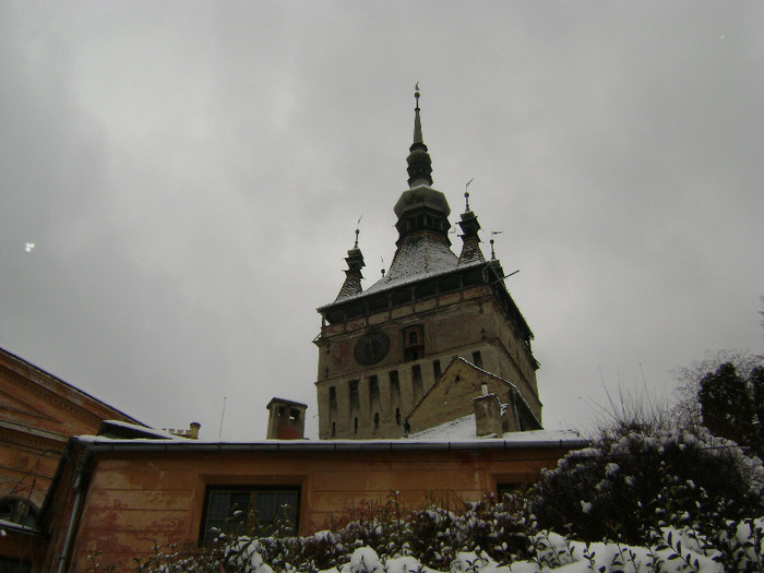 DSC02801 - 2012 Sighișoara națională