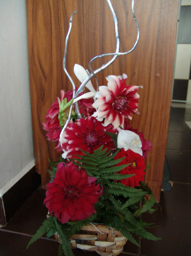 DSC04808