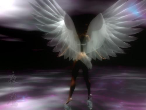 poze-frumoase_-imagini-foarte-frumoase_-baletul-unor-ingeri