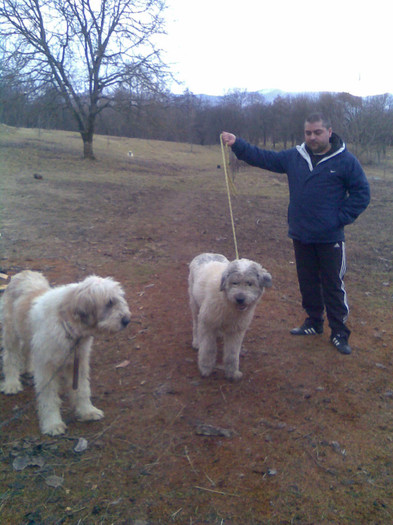 GASIREA UNUI PRETENDENT