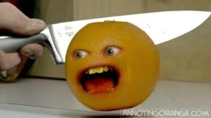 images (11) - Annoying Orange