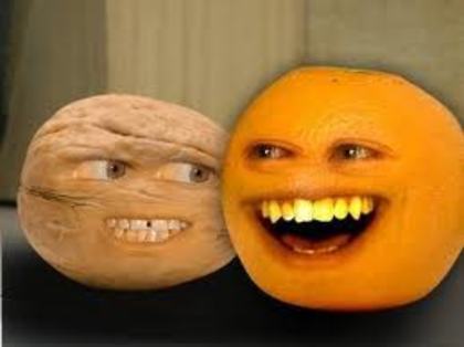 images (19) - Annoying Orange