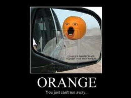 images (35) - Annoying Orange