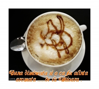 ec16cb49aaa51e66125a6fc35e62deff