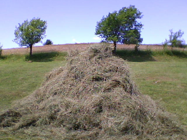 080711120715 - Peisaje de la Stoieneasa