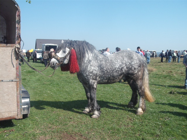 36229010_ZHASNRQZB
