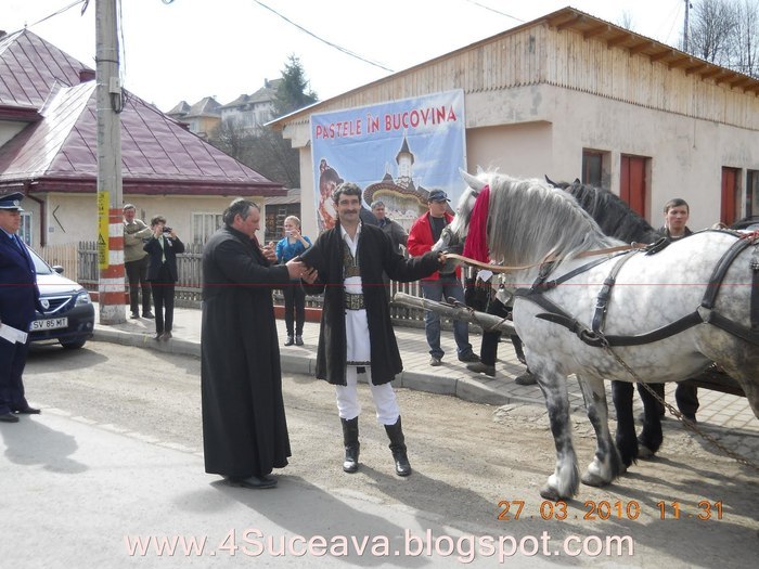 25747544_ILJBTQMVH - BUCOVINA COLT DE RAI