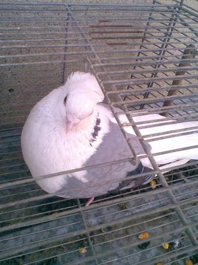 Imag005