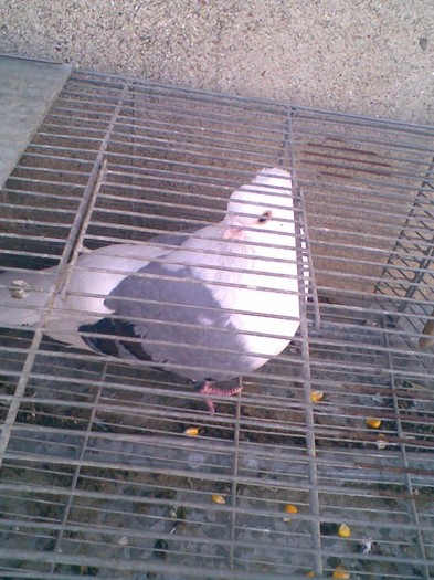 Imag007
