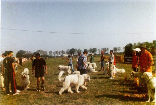 mangalia 2002 5 - N-Mangalia 2002