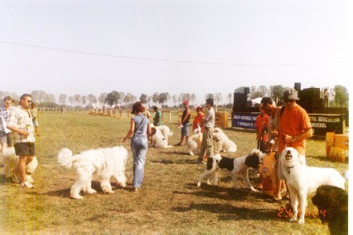 mangalia 2002 10 - N-Mangalia 2002