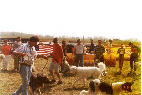 mangalia 2002 11 - N-Mangalia 2002