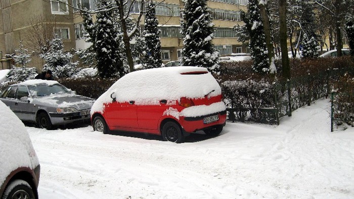 Bubu 2 - IARNA la Moieciu si Brasov