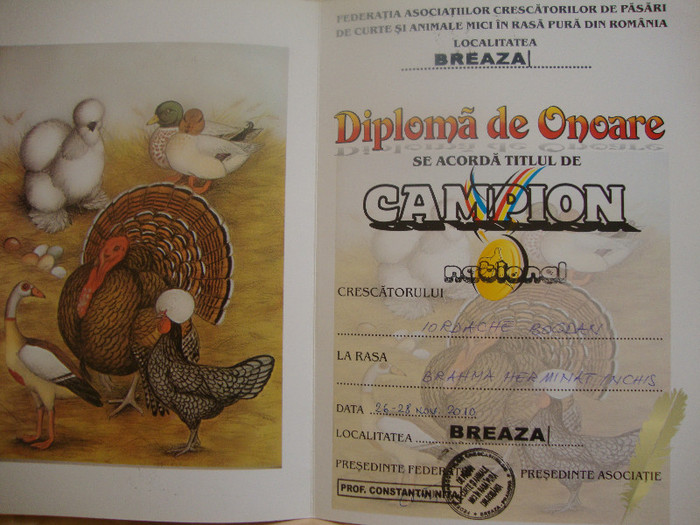 DSC01911 - Cupe si Diplome 2010-2012