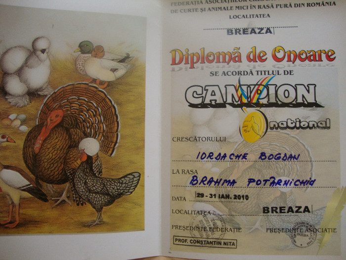 DSC01915 - Cupe si Diplome 2010-2012