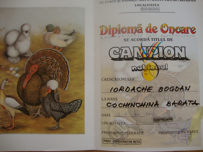 DSC01916 - Cupe si Diplome 2010-2012