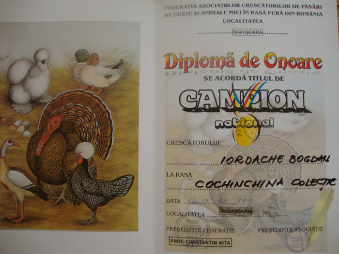 DSC01917 - Cupe si Diplome 2010-2012
